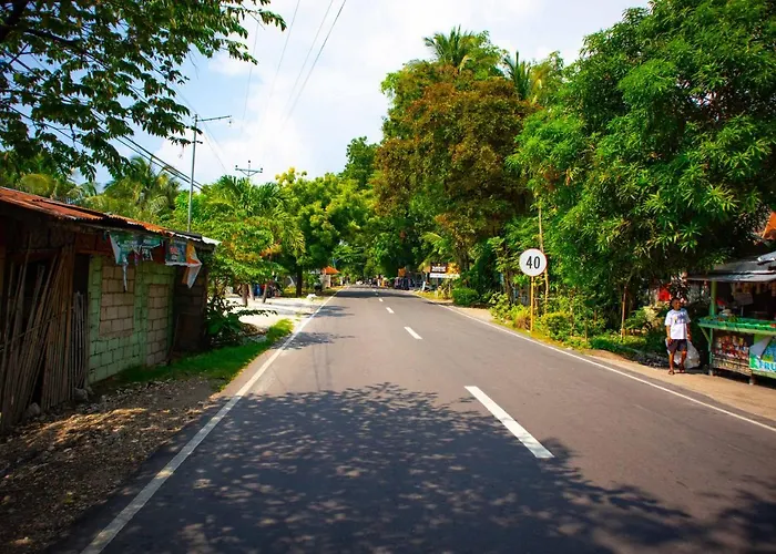 Voz Front Resort *